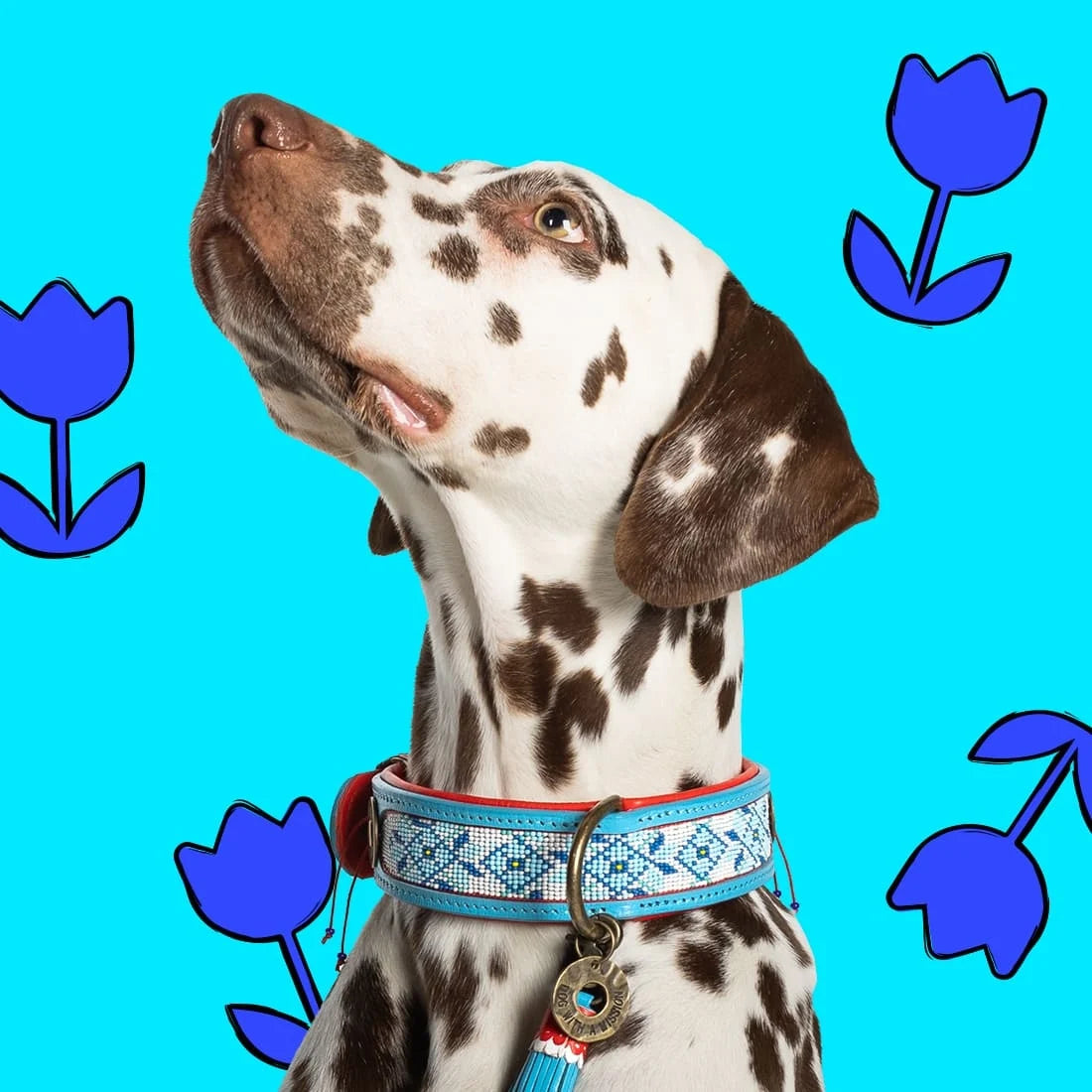 DWAM Dutchie Halsband - Lieferzeit ca. 2 Wochen