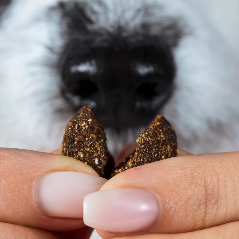 Tierliebhaber Chillout Drops 350g