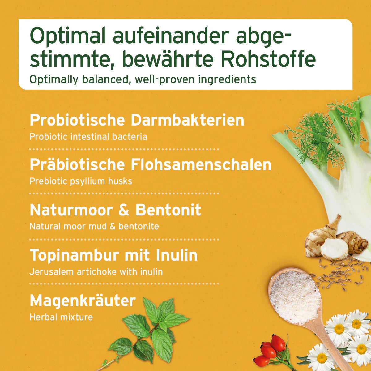 AniForte Magen & Darm-Snack 300g