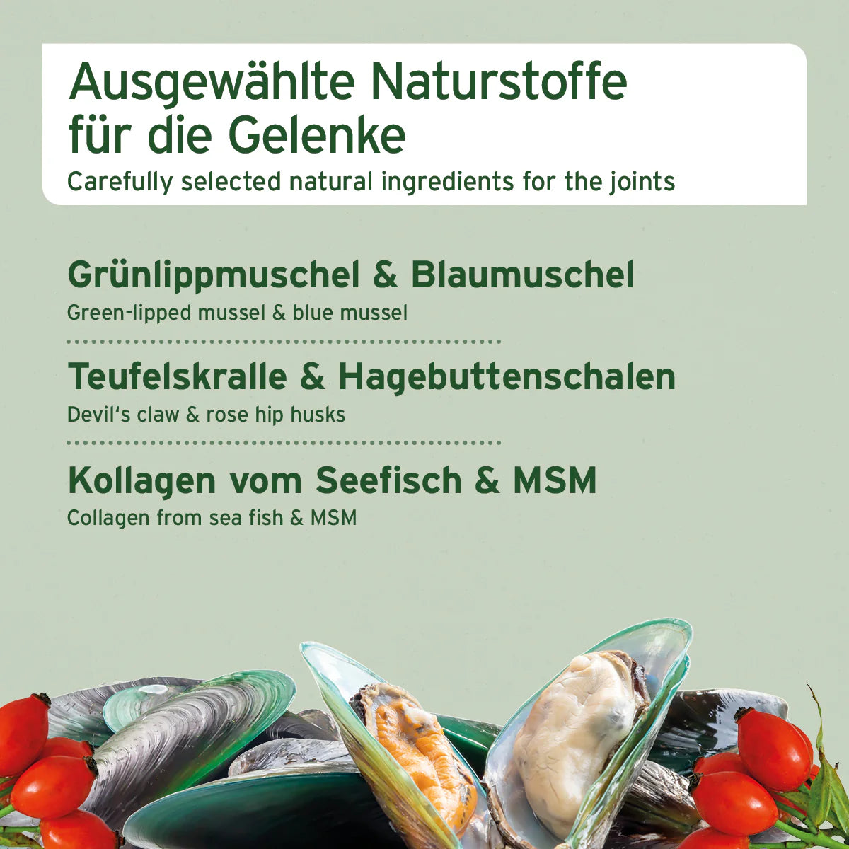 AniForte® Gelenk Snack 300g