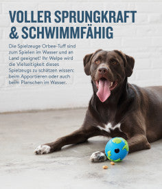 Planet Dog Orbee-Tuff Ball Planet