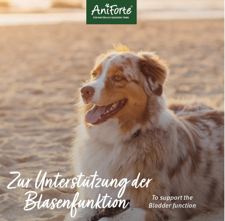 AniForte® Blasen-Formel 100g