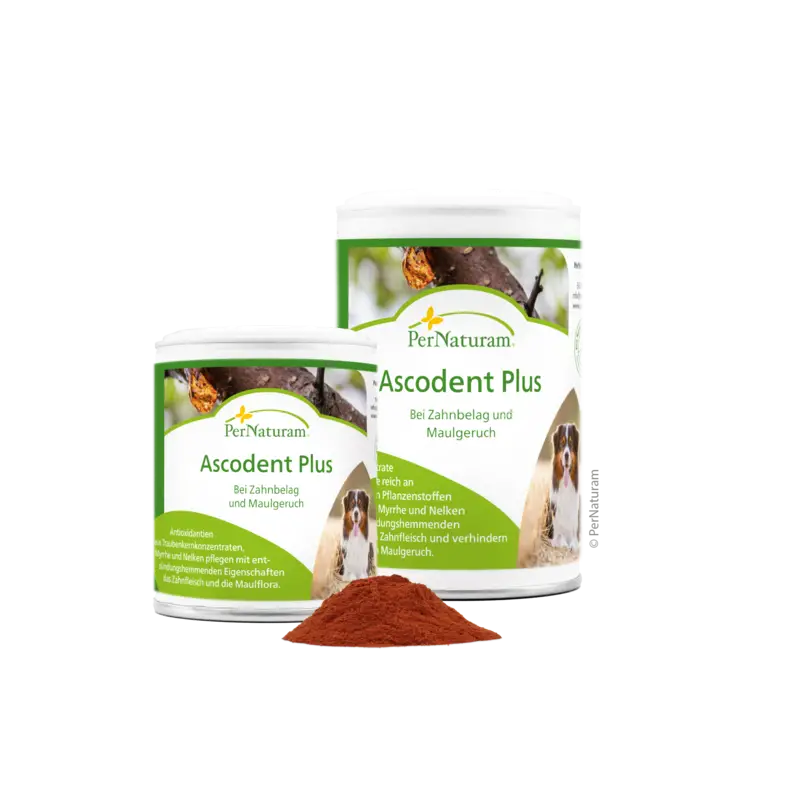 PerNaturam Ascodent Plus, 100g