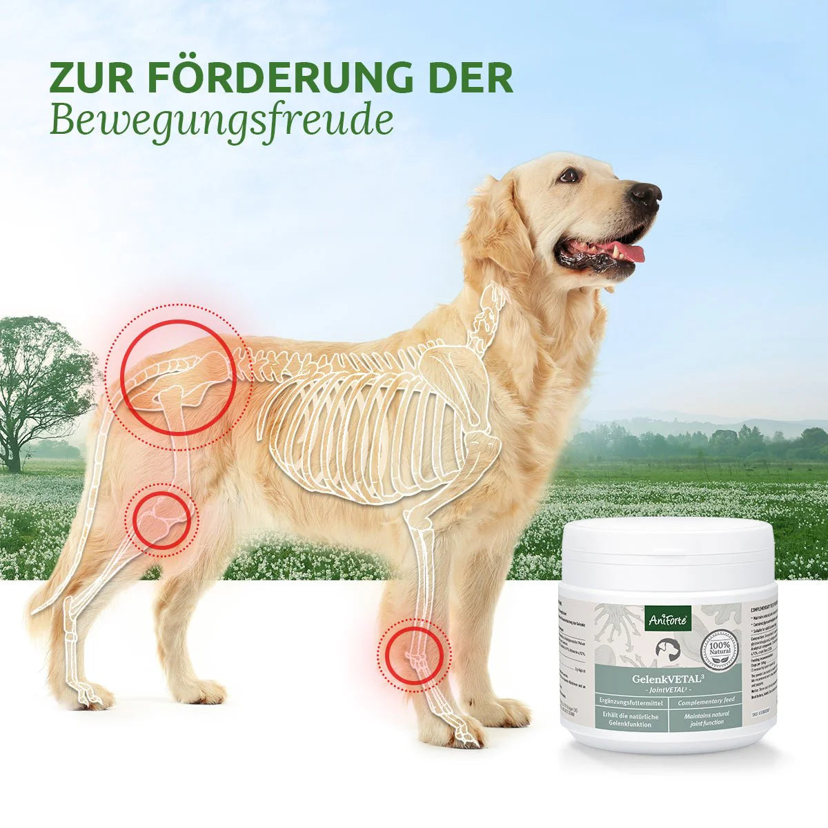 AniForte® GelenkVETAL 3, 250g