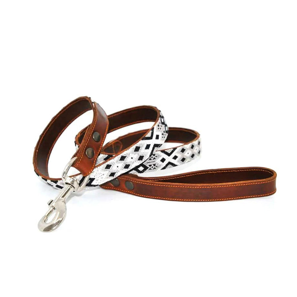 Kinakú Dog Collar COBA Grösse S im Set mit Leine