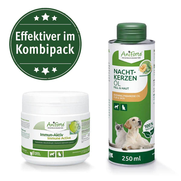 Immun-Fit Set Natürliche Immunstärkung für Hunde