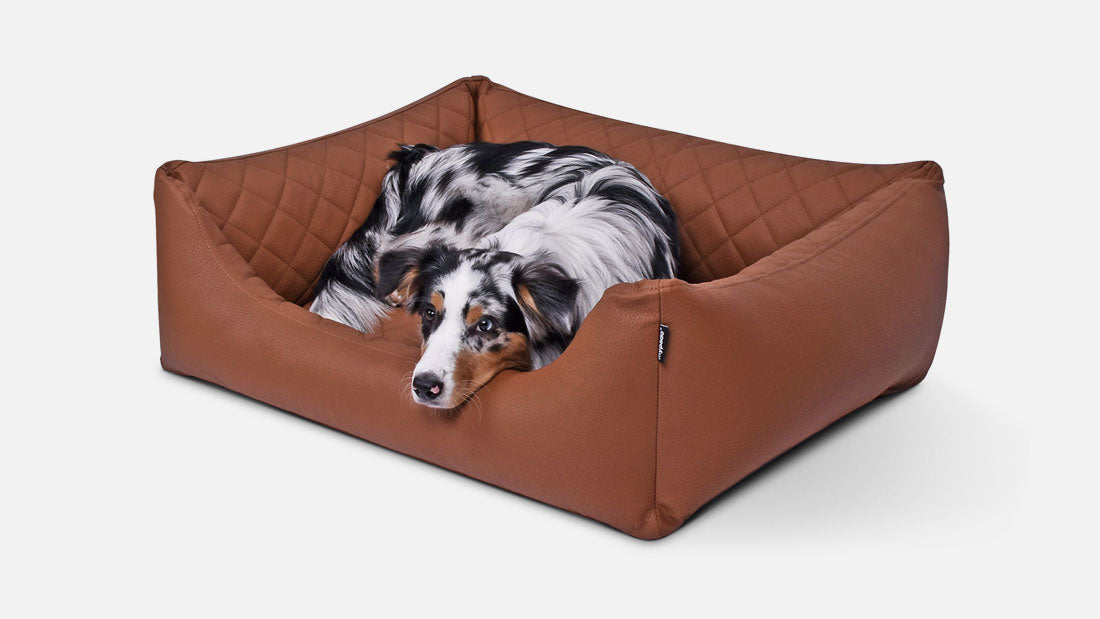 Padsforall Hundebett Worldcollection Premium