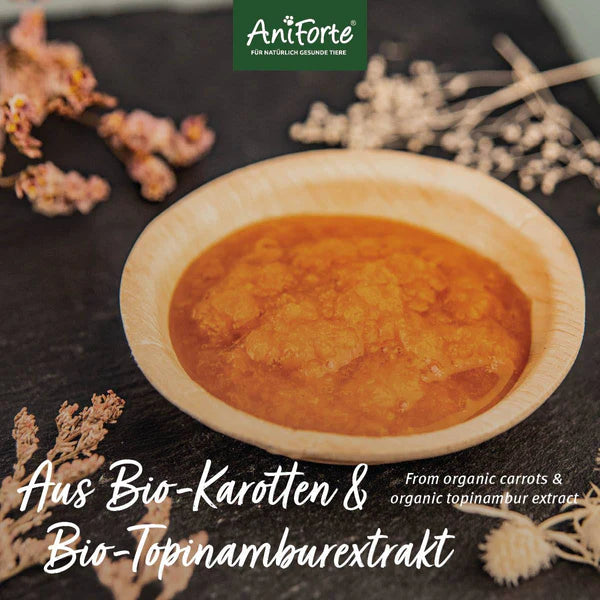 AniForte Bio Morosan - Morosuppe
