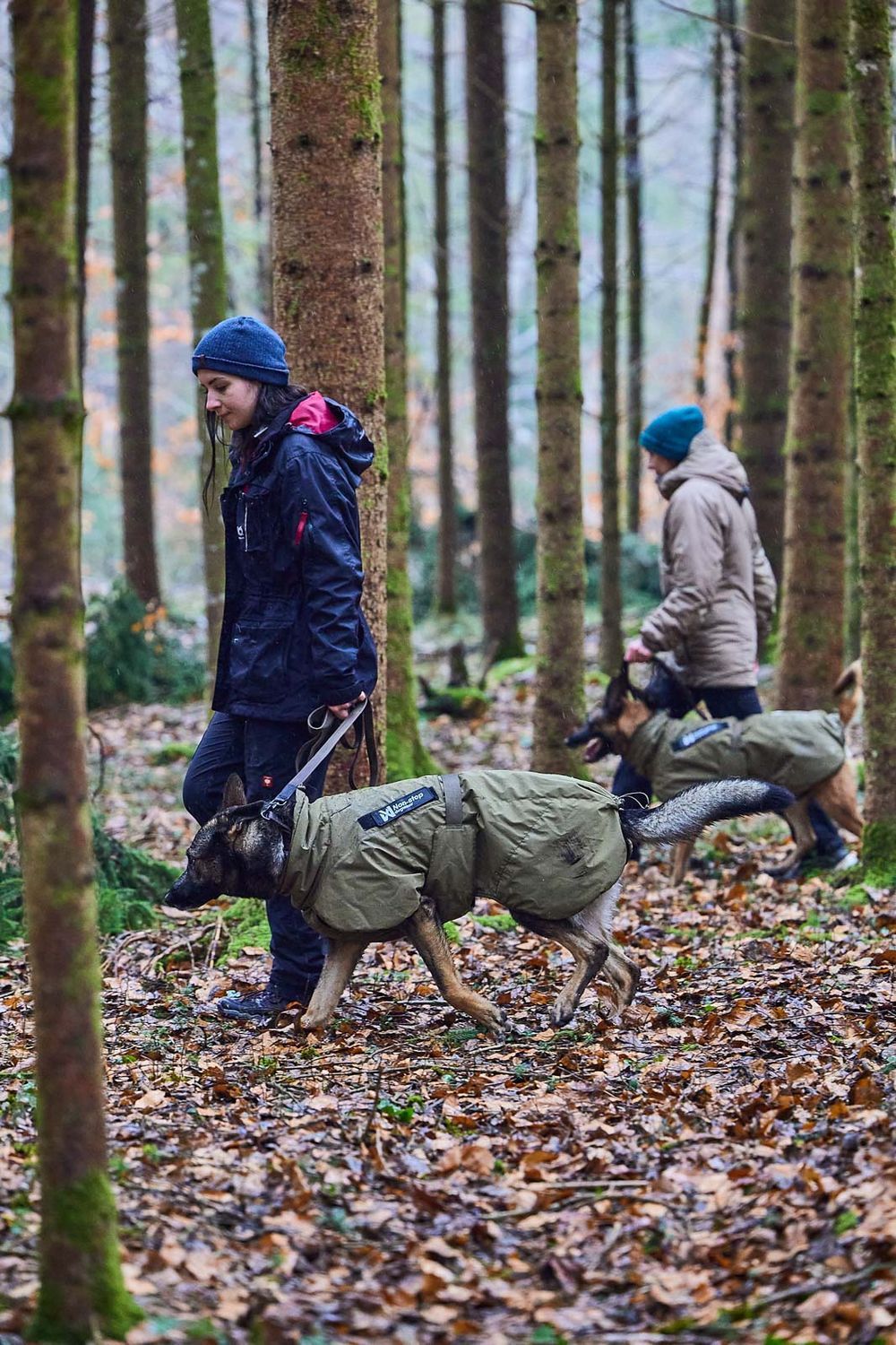 Non-stop dogwear Glacier dog jacket WD