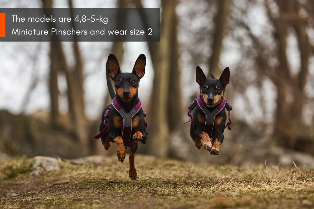Non-stop dogwear Line harness 5.0