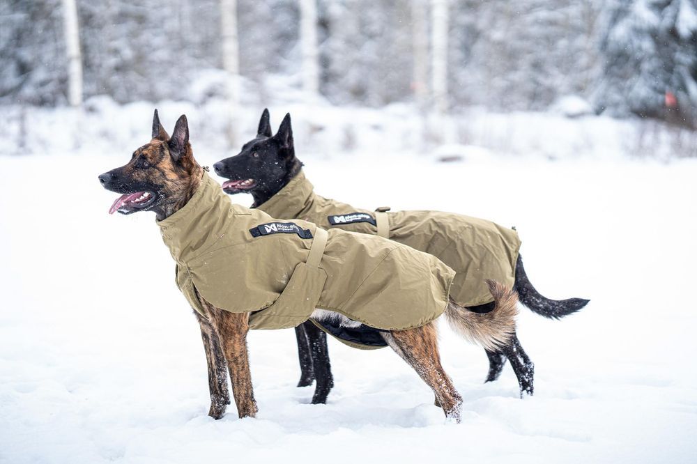 Non-stop dogwear Glacier dog jacket WD