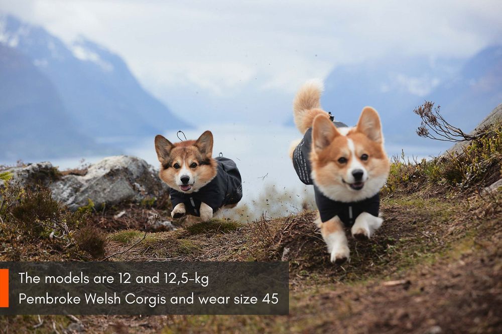 Non-stop dogwear Fjord raincoat
