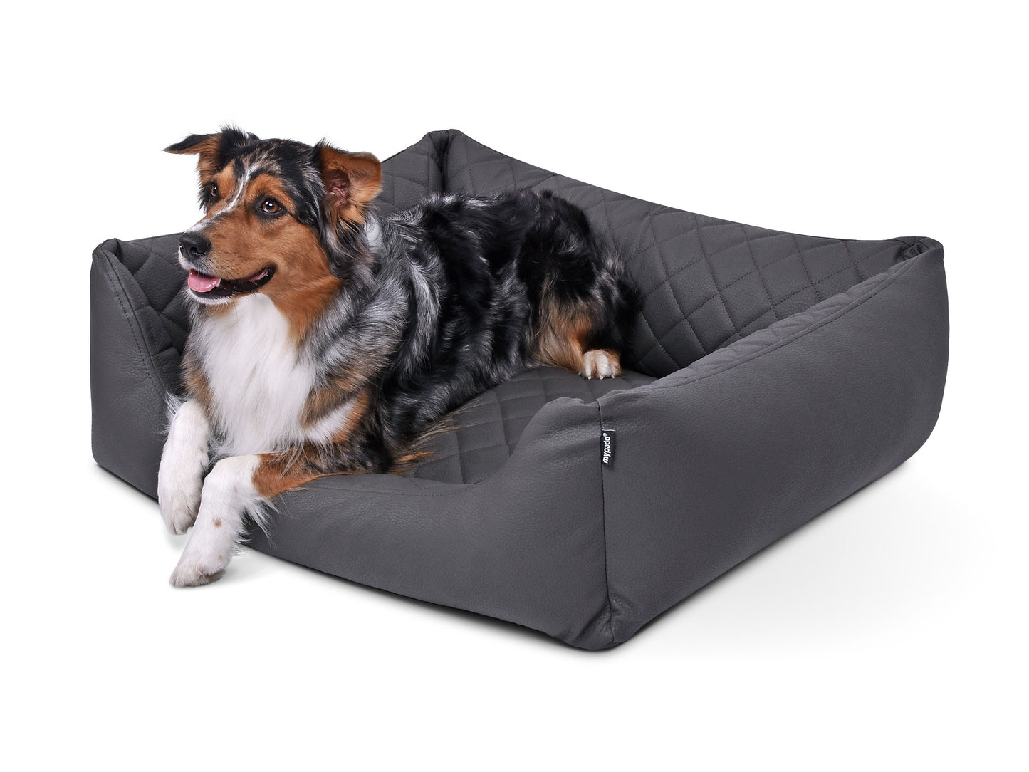 Padsforall Hundebett Worldcollection Premium