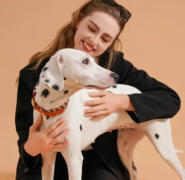 Dog Favors Halsband aus wetterfestem PVC