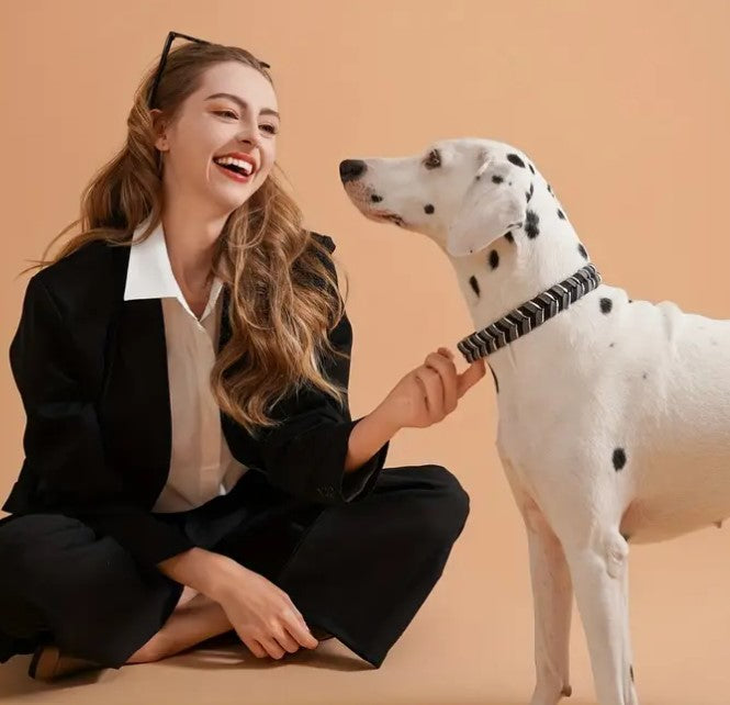 Dog Favors Halsband aus wetterfestem PVC