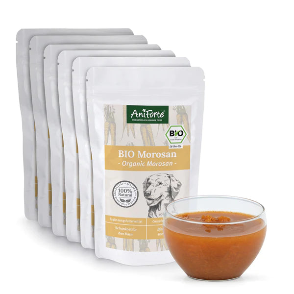 AniForte Bio Morosan - Morosuppe
