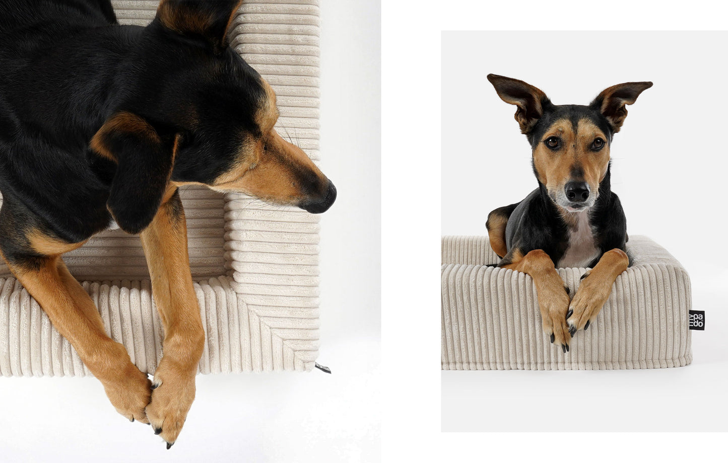 Pads for all Hundebett Harko Cord