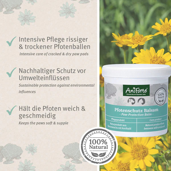 AniForte Pfotenschutz Balsam Intensivpflege für Hunde- & Katzenpfoten 120ml