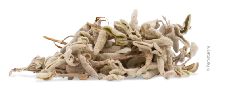 PerNaturam Kretischer Salbei 200g