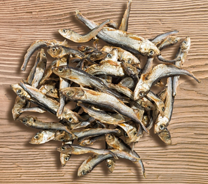 Naturavetal Canis Plus Sprotten 100g