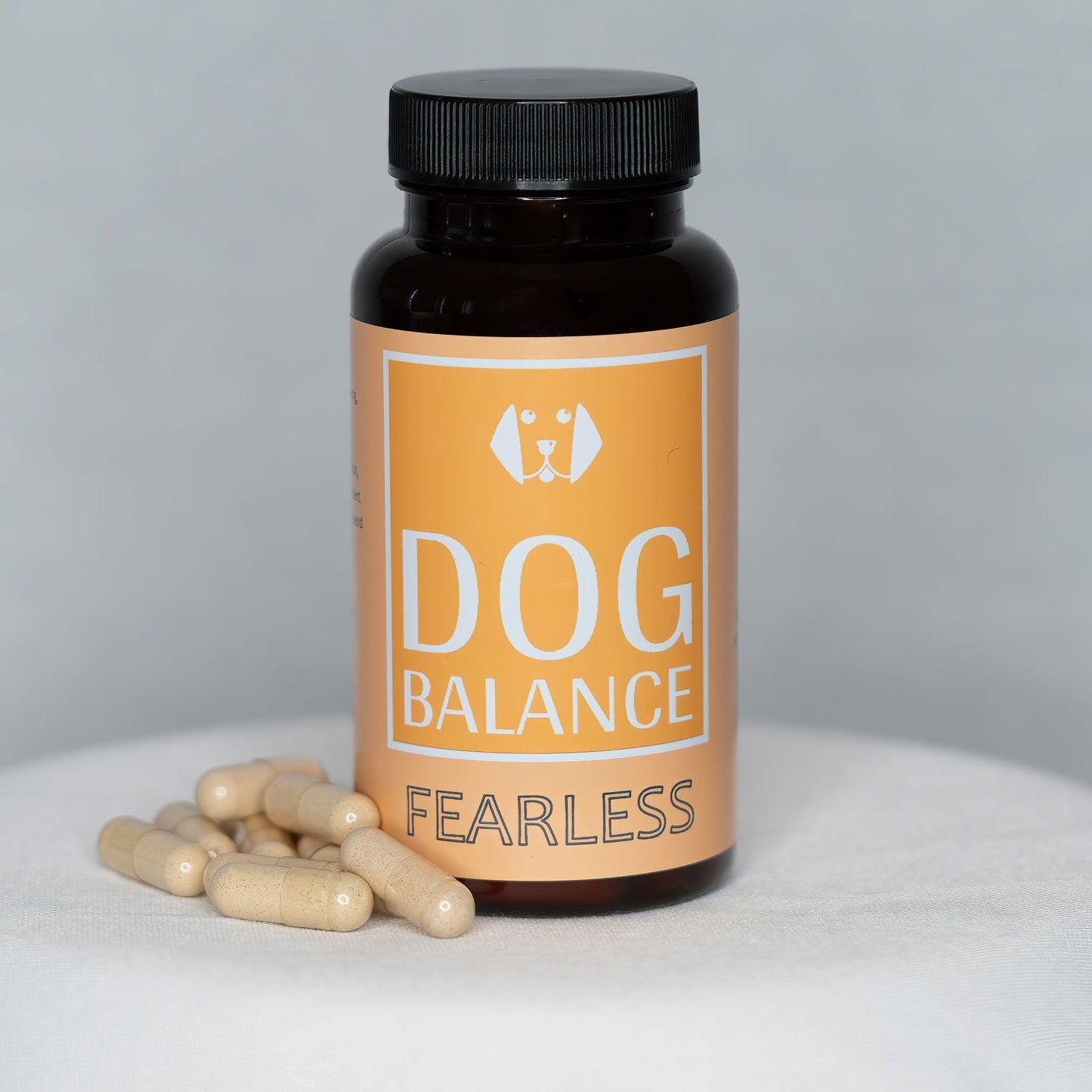 DogBalance® Fearless