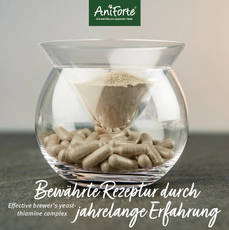 AniForte® ZeckenSchild Kapseln