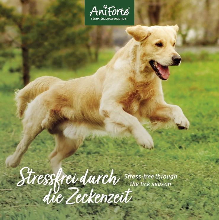 AniForte® ZeckenSchild Kapseln