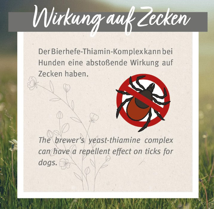 AniForte® ZeckenSchild Kapseln