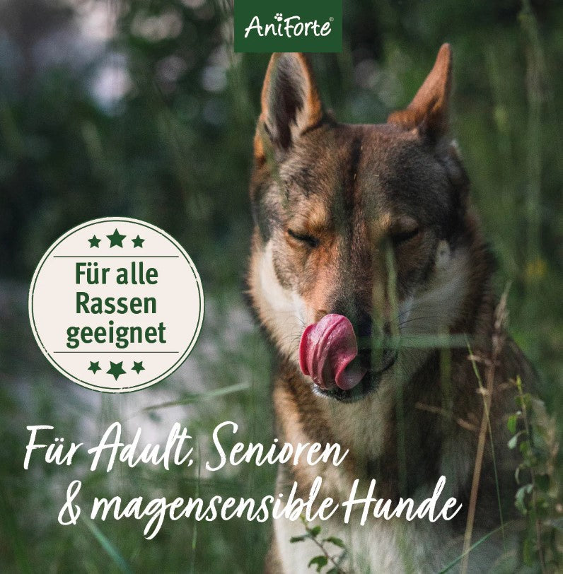 AniForte® PureNature FreelandDuck