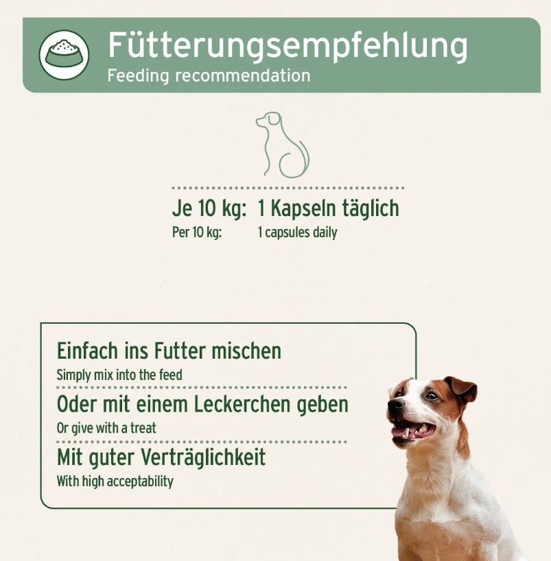 AniForte® Weihrauch Kapseln für Hunde, 100Stk