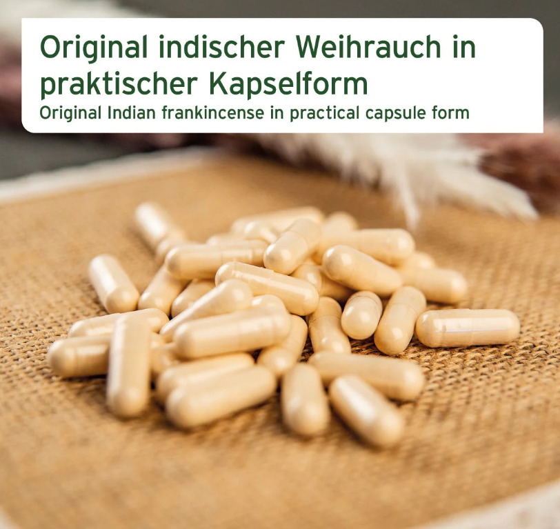 AniForte® Weihrauch Kapseln für Hunde, 100Stk
