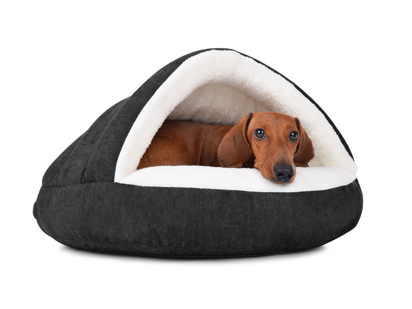 Padsforall Hundehöhle Shell Comfort