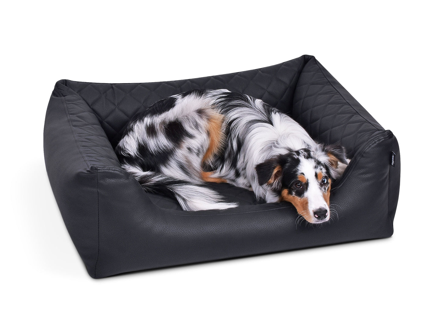 Padsforall Hundebett Worldcollection Premium