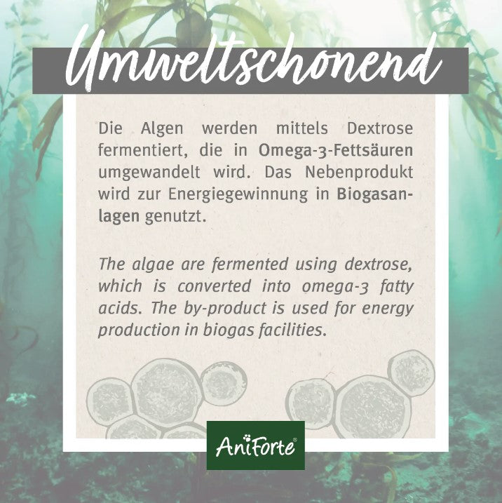 AniForte Algenöl
