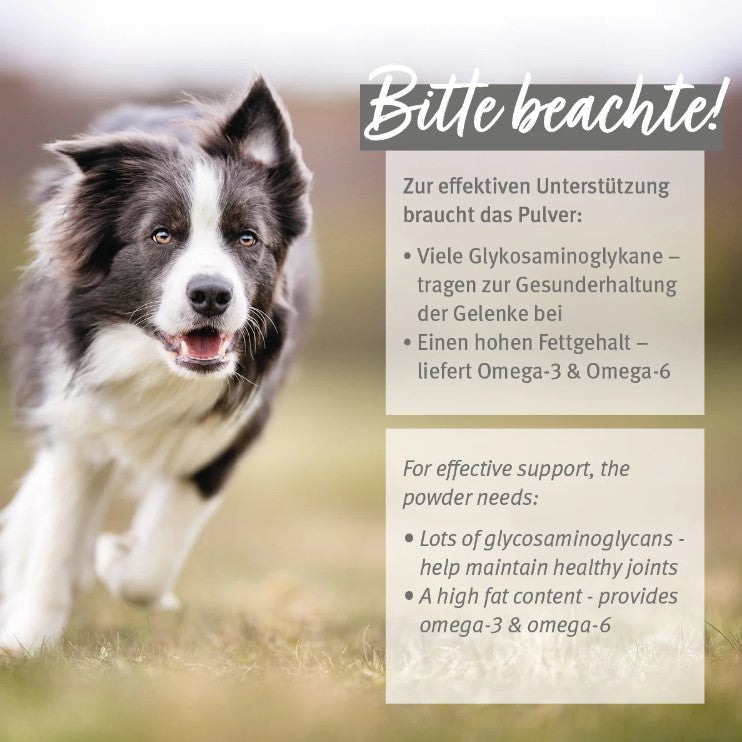 AniForte® Grünlippmuschelpulver