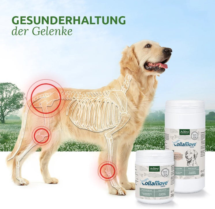 AniForte® CollaMove® dog
