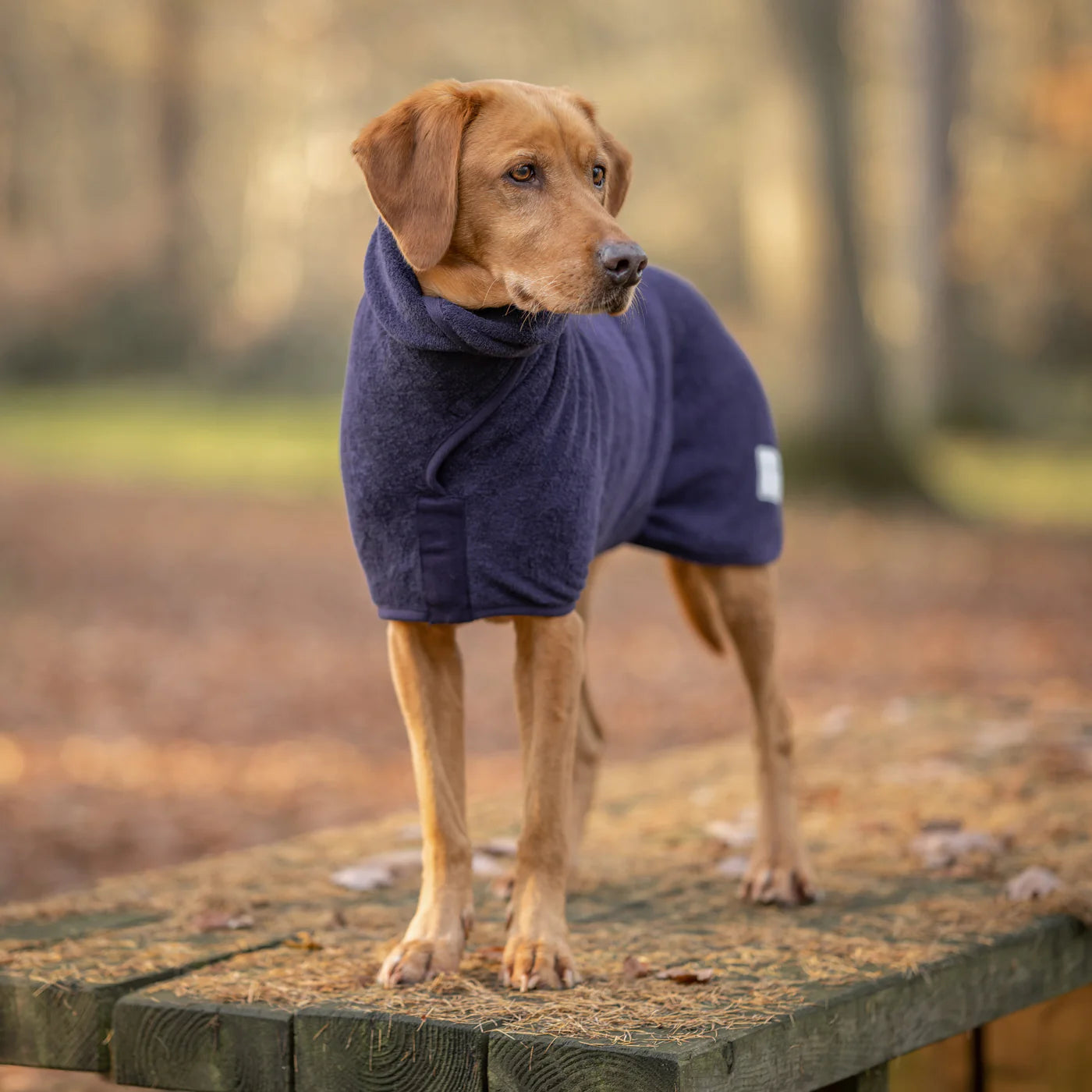 Ruff and Tumble Classic Collection