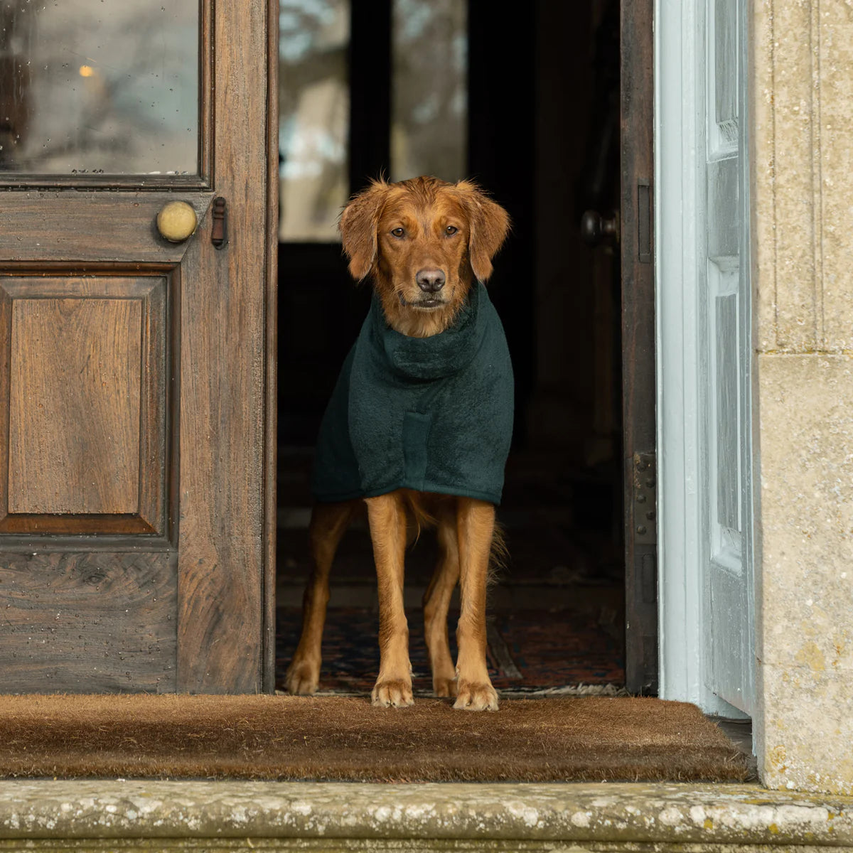 Ruff and Tumble Classic Collection