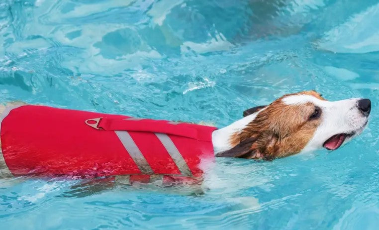 Schwimmweste Rescue