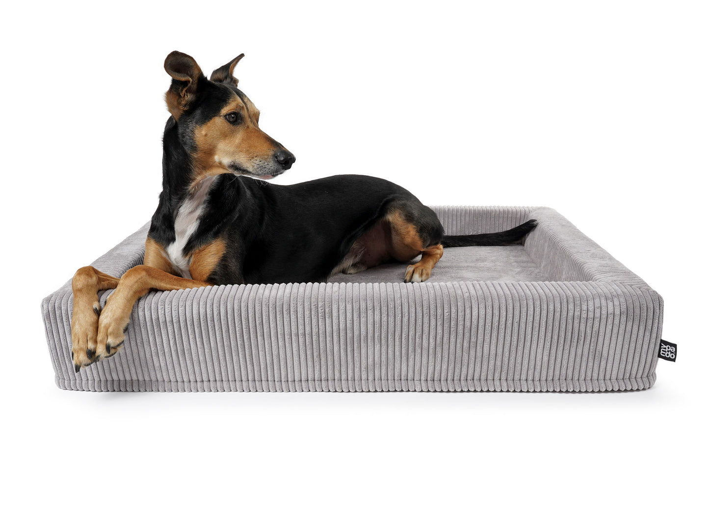 Pads for all Hundebett Harko Cord