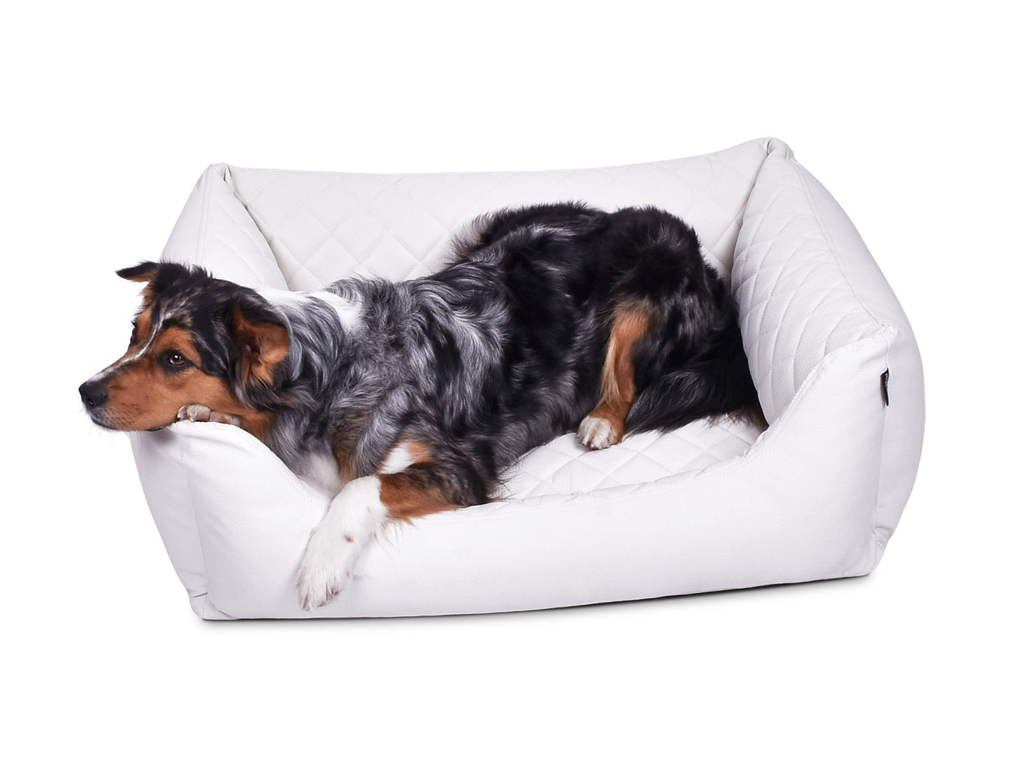 Padsforall Hundebett Worldcollection Premium