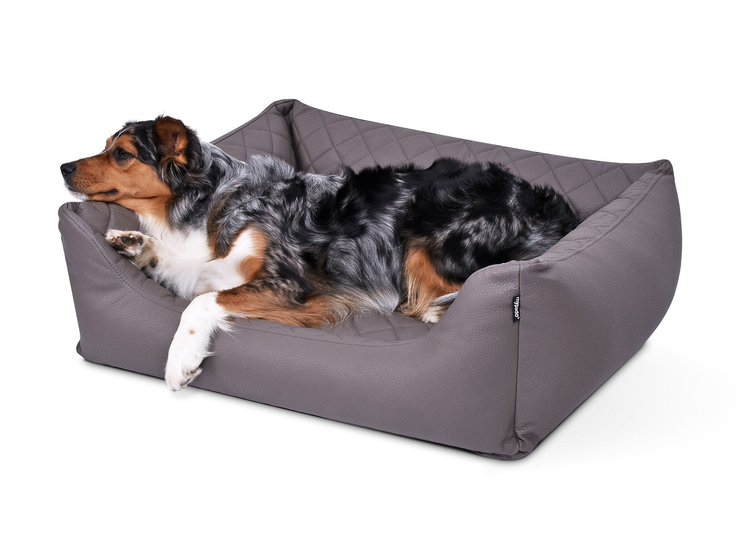Padsforall Hundebett Worldcollection Premium