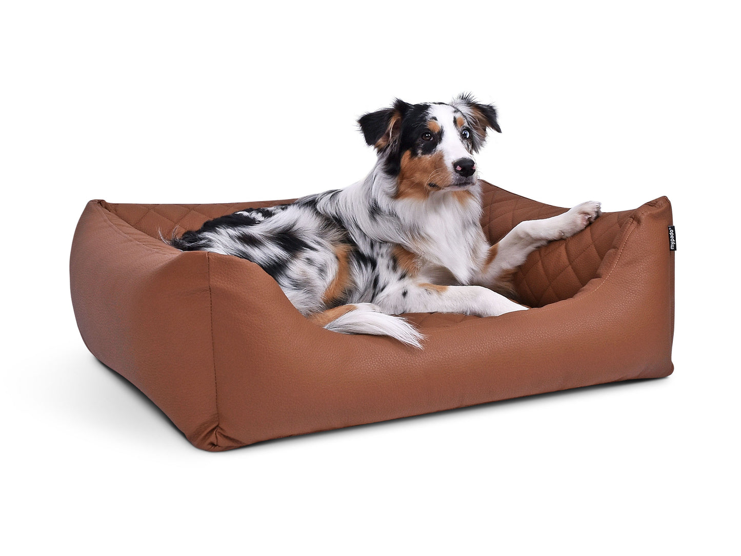 Padsforall Hundebett Worldcollection Premium