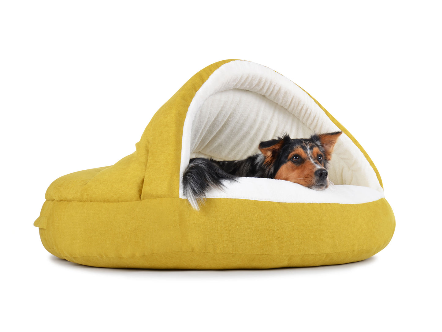 Padsforall Hundehöhle Shell Comfort