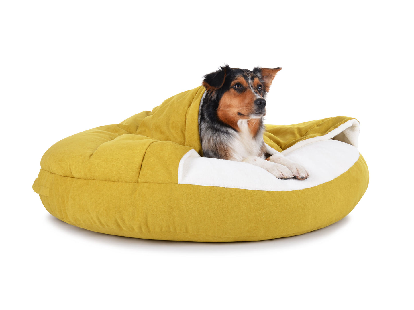 Padsforall Hundehöhle Shell Comfort