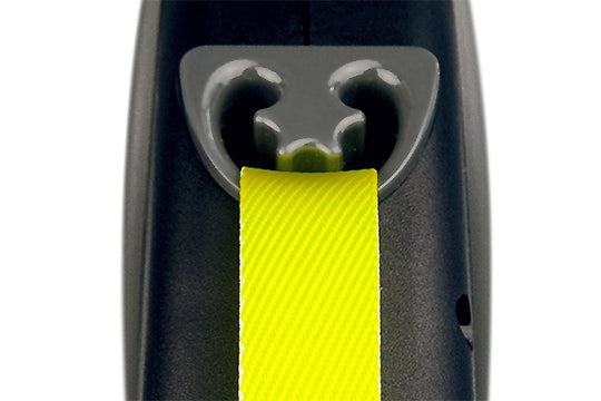 Flexi Giant Professional, Gurt-Rollleine 10m