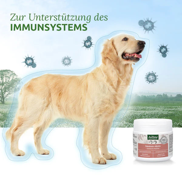 Immun-Aktiv 250g