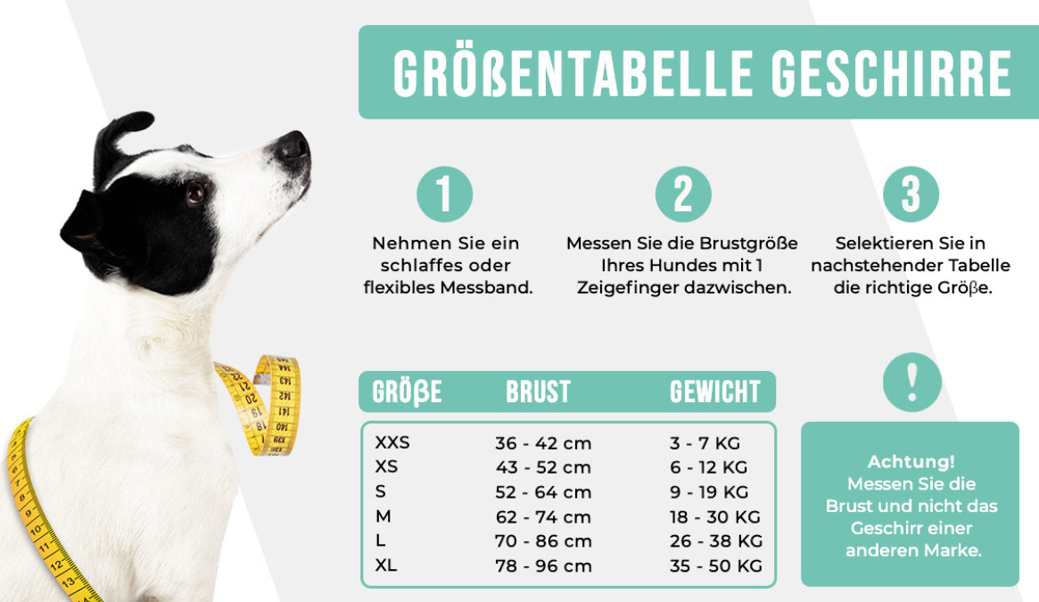 Dwam Boho Ledergschirr