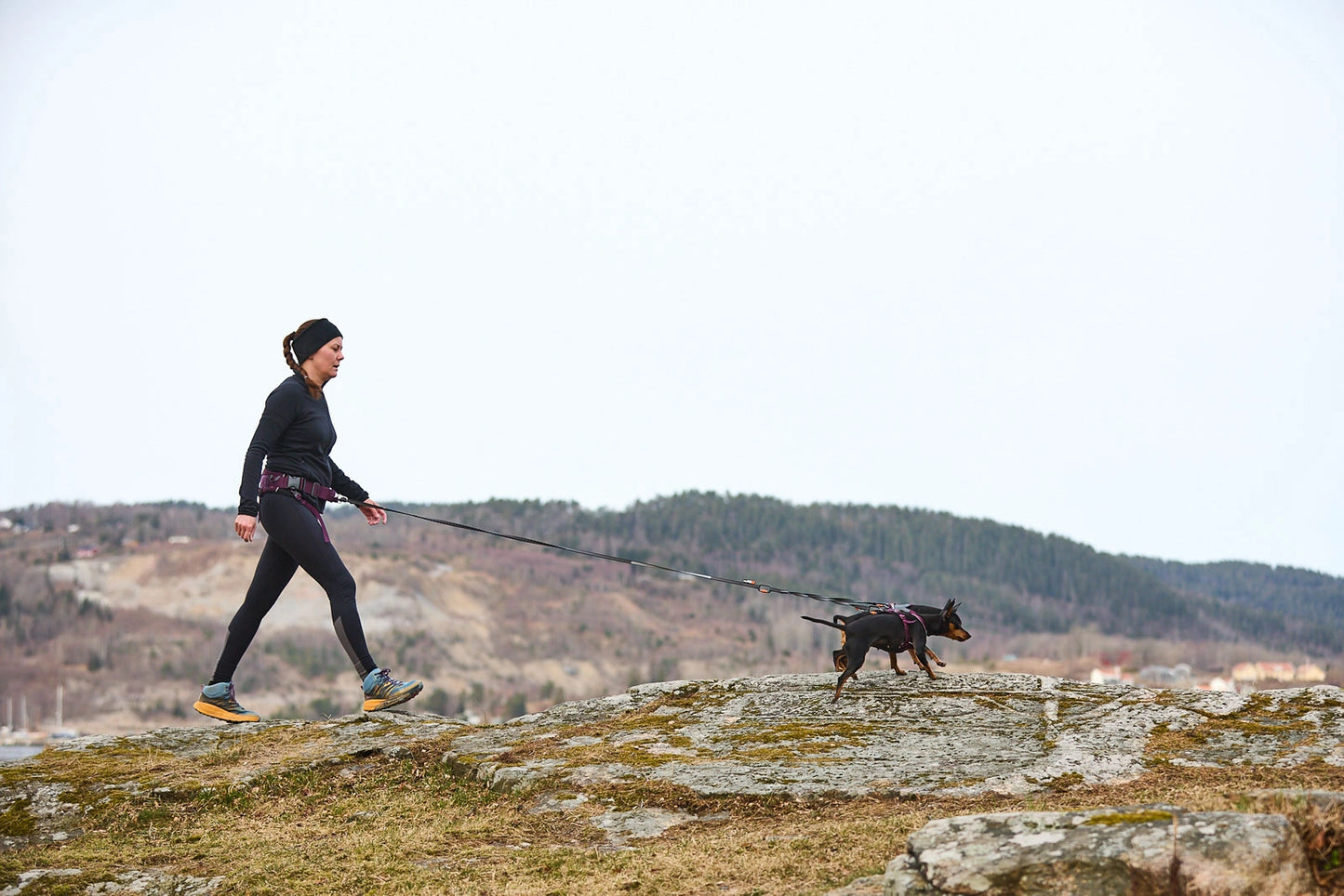 Non-stop dogwear Trekking belt 2.0