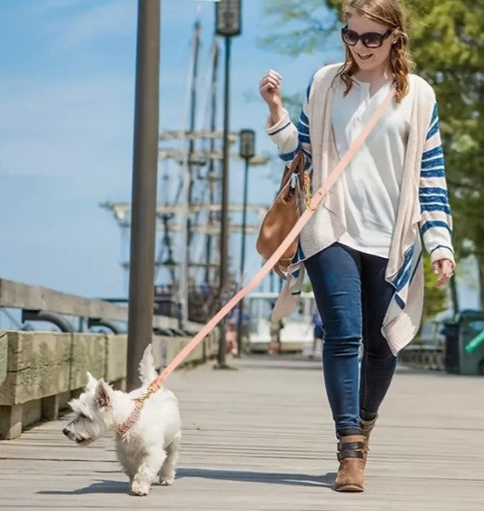 Dog Favors Führleine aus wetterfestem PVC